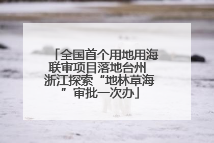 全国首个用地用海联审项目落地台州 浙江探索“地林草海”审批一次办