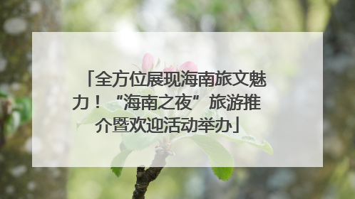 全方位展现海南旅文魅力！“海南之夜”旅游推介暨欢迎活动举办