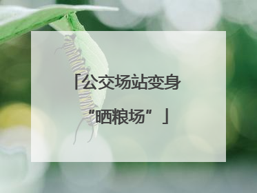 公交场站变身“晒粮场”