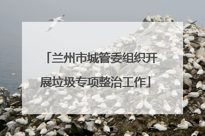 兰州市城管委组织开展垃圾专项整治工作