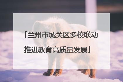 兰州市城关区多校联动推进教育高质量发展