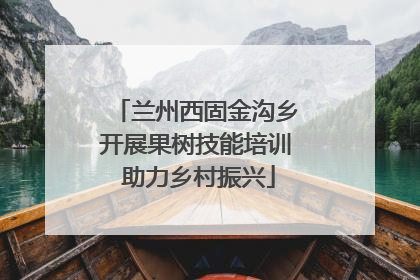 兰州西固金沟乡开展果树技能培训 助力乡村振兴