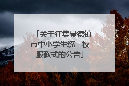 关于征集景德镇市中小学生统一校服款式的公告