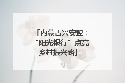 内蒙古兴安盟：“阳光银行”点亮乡村振兴路