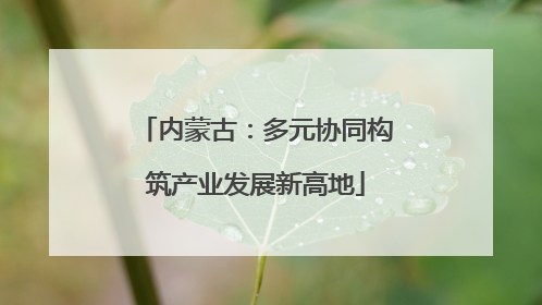 内蒙古：多元协同构筑产业发展新高地