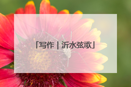 写作｜沂水弦歌