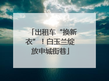 出租车“换新衣”！白玉兰绽放申城街巷