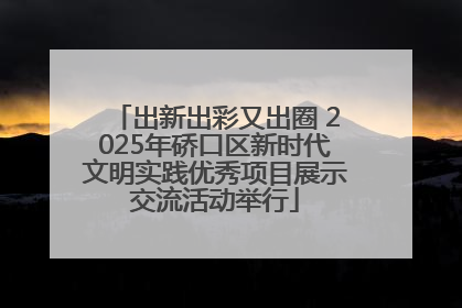出新出彩又出圈 2025年硚口区新时代文明实践优秀项目展示交流活动举行