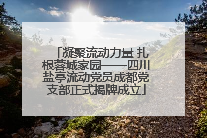 凝聚流动力量 扎根蓉城家园——四川盐亭流动党员成都党支部正式揭牌成立