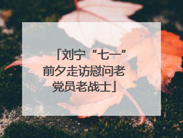 刘宁“七一”前夕走访慰问老党员老战士