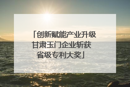 创新赋能产业升级 甘肃玉门企业斩获省级专利大奖