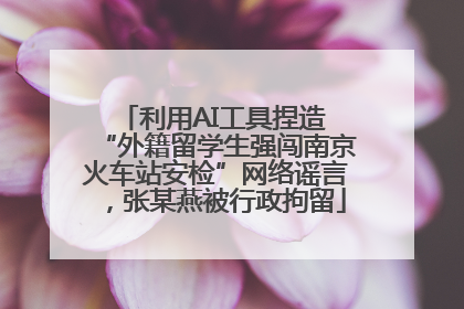 利用AI工具捏造 “外籍留学生强闯南京火车站安检”网络谣言，张某燕被行政拘留