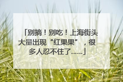 别摘！别吃！上海街头大量出现“红果果”，很多人忍不住了……