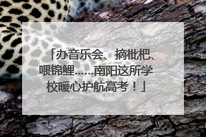 办音乐会、摘枇杷、喂锦鲤……南阳这所学校暖心护航高考！
