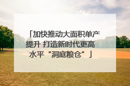 加快推动大面积单产提升 打造新时代更高水平“洞庭粮仓”