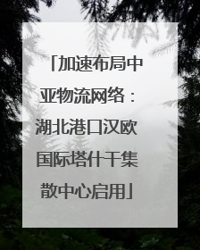 加速布局中亚物流网络：湖北港口汉欧国际塔什干集散中心启用