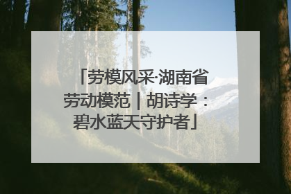 劳模风采·湖南省劳动模范｜胡诗学：碧水蓝天守护者
