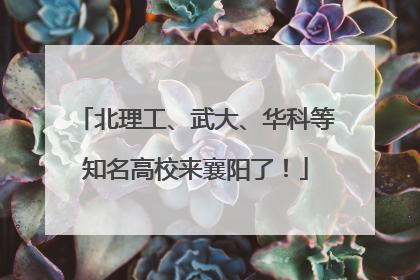 北理工、武大、华科等知名高校来襄阳了！