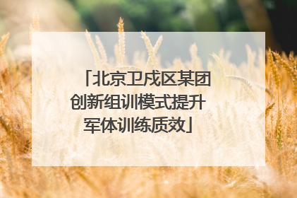 北京卫戍区某团创新组训模式提升军体训练质效