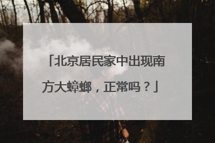 北京居民家中出现南方大蟑螂，正常吗？