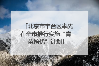 北京市丰台区率先在全市推行实施“青苗培优”计划