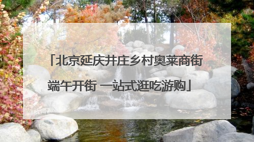 北京延庆井庄乡村奥莱商街端午开街 一站式逛吃游购