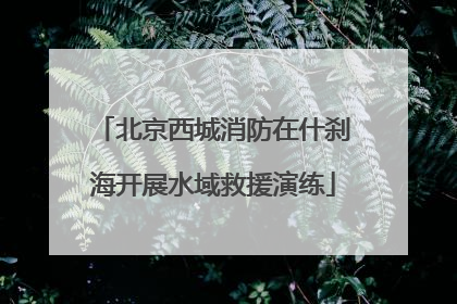 北京西城消防在什刹海开展水域救援演练