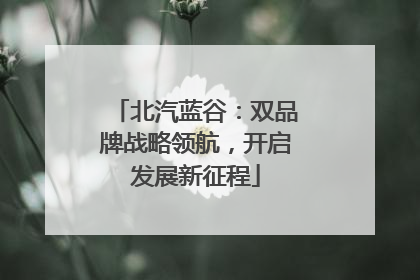 北汽蓝谷：双品牌战略领航，开启发展新征程