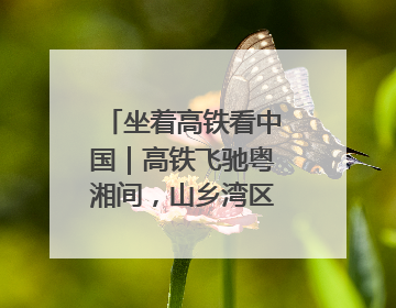坐着高铁看中国｜高铁飞驰粤湘间，山乡湾区共向荣