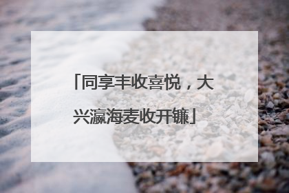 同享丰收喜悦，大兴瀛海麦收开镰