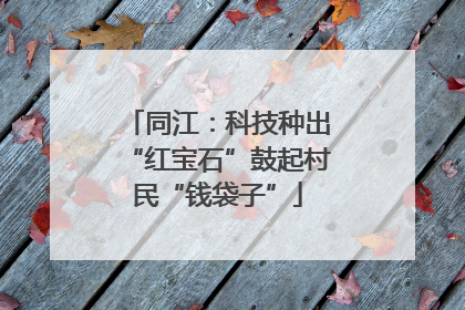 同江：科技种出“红宝石”鼓起村民“钱袋子”