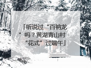 听说过“百衲龙”吗？黄湖青山村“花式”过端午