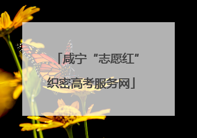 咸宁“志愿红”织密高考服务网