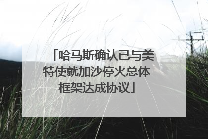 哈马斯确认已与美特使就加沙停火总体框架达成协议