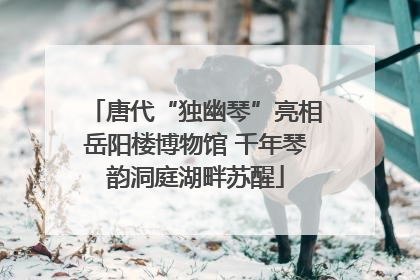 唐代“独幽琴”亮相岳阳楼博物馆 千年琴韵洞庭湖畔苏醒