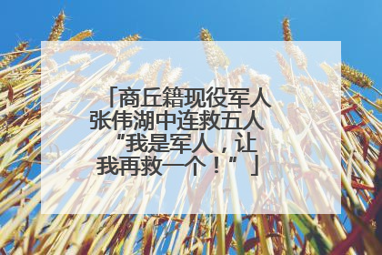 商丘籍现役军人张伟湖中连救五人 “我是军人，让我再救一个！”