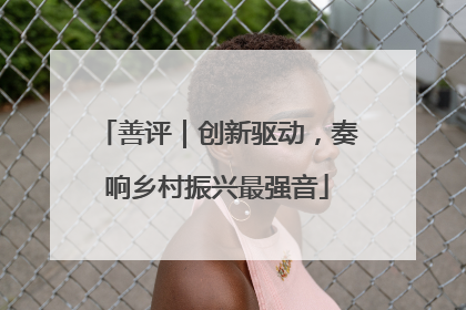 善评｜创新驱动，奏响乡村振兴最强音