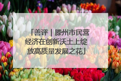 善评｜滕州市民营经济在创新沃土上绽放高质量发展之花