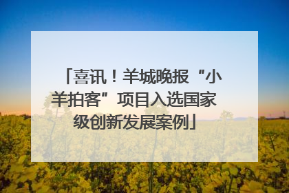 喜讯！羊城晚报“小羊拍客”项目入选国家级创新发展案例
