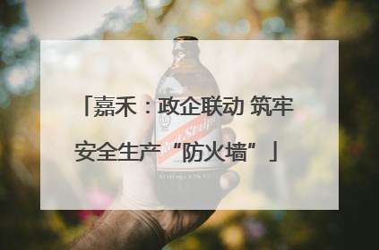 嘉禾：政企联动 筑牢安全生产“防火墙”