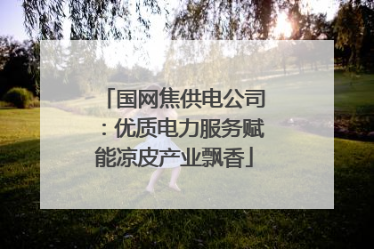 国网焦供电公司：优质电力服务赋能凉皮产业飘香