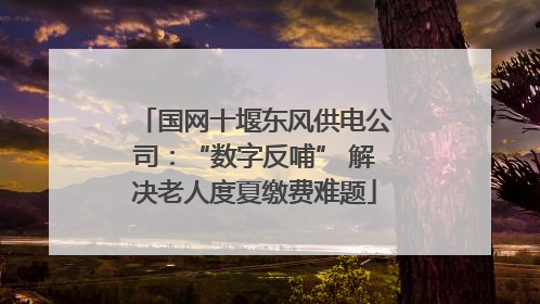 国网十堰东风供电公司：“数字反哺” 解决老人度夏缴费难题