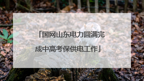 国网山东电力圆满完成中高考保供电工作