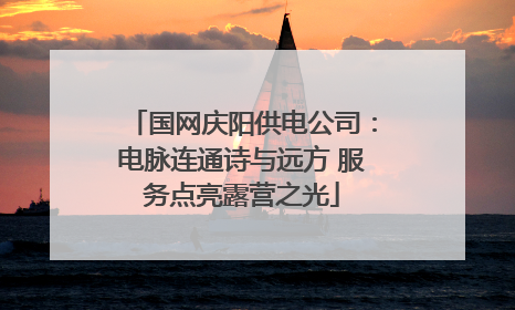 国网庆阳供电公司：电脉连通诗与远方 服务点亮露营之光