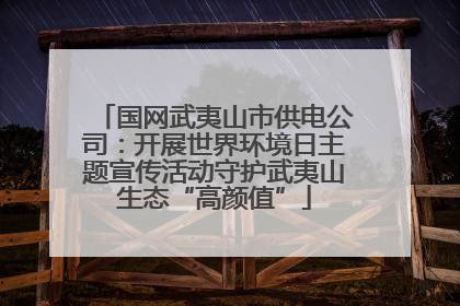 国网武夷山市供电公司：开展世界环境日主题宣传活动守护武夷山生态“高颜值”