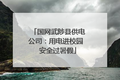 国网武陟县供电公司：用电进校园  安全过暑假