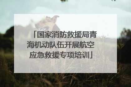 国家消防救援局青海机动队伍开展航空应急救援专项培训
