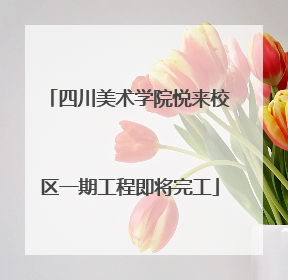 四川美术学院悦来校区一期工程即将完工