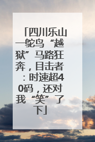 四川乐山一鸵鸟“越狱”马路狂奔，目击者：时速超40码，还对我“笑”了下