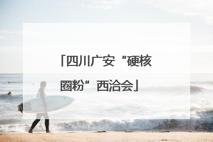 四川广安“硬核圈粉”西洽会